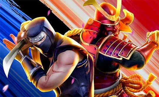 Ninja Vs Samuray