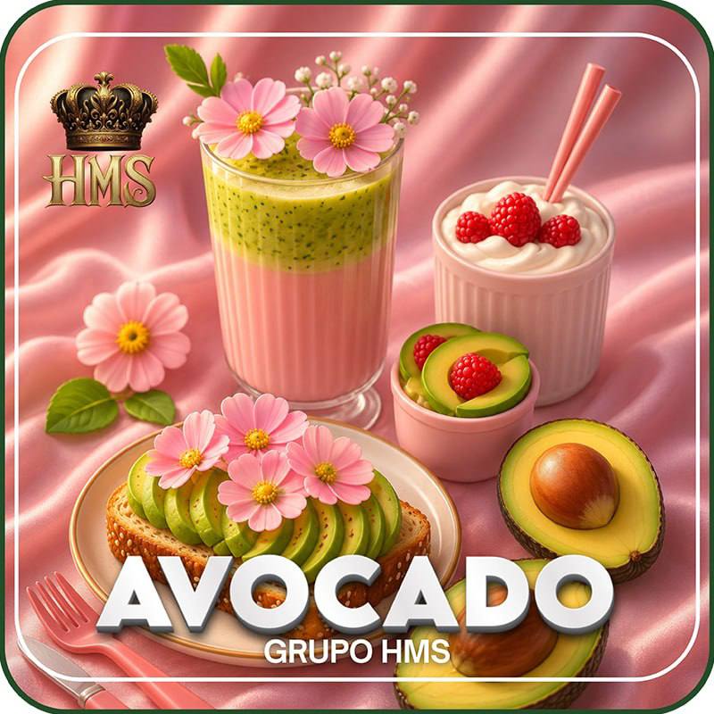 GRUPO HMS